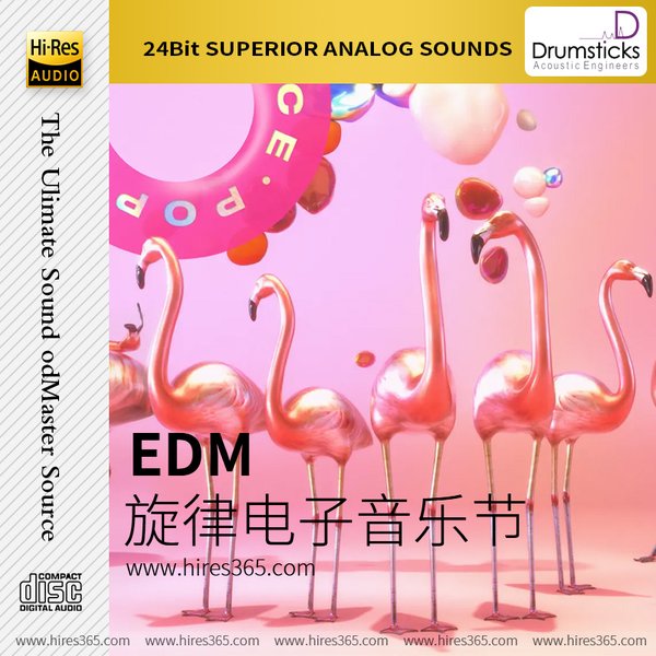 旋律电子音乐节