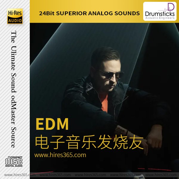 电子音乐发烧友