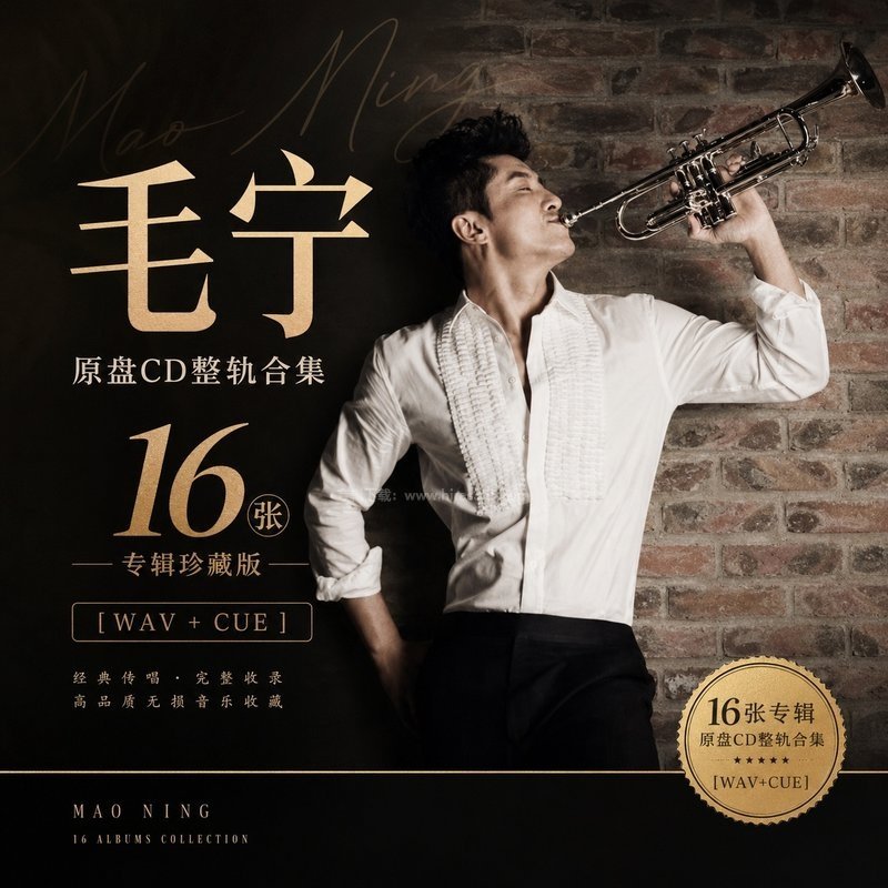 毛宁 ｜16张专辑原盘CD整轨合集[WAV+CUE]