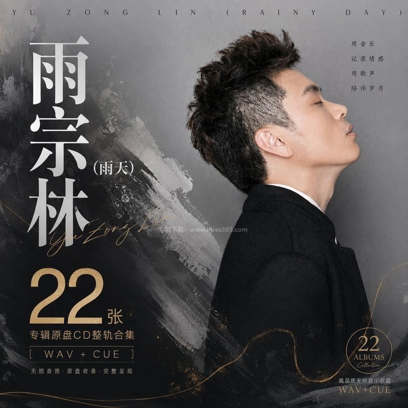 雨宗林(雨天) ｜22张专辑原盘CD整轨合集[WAV+CUE]