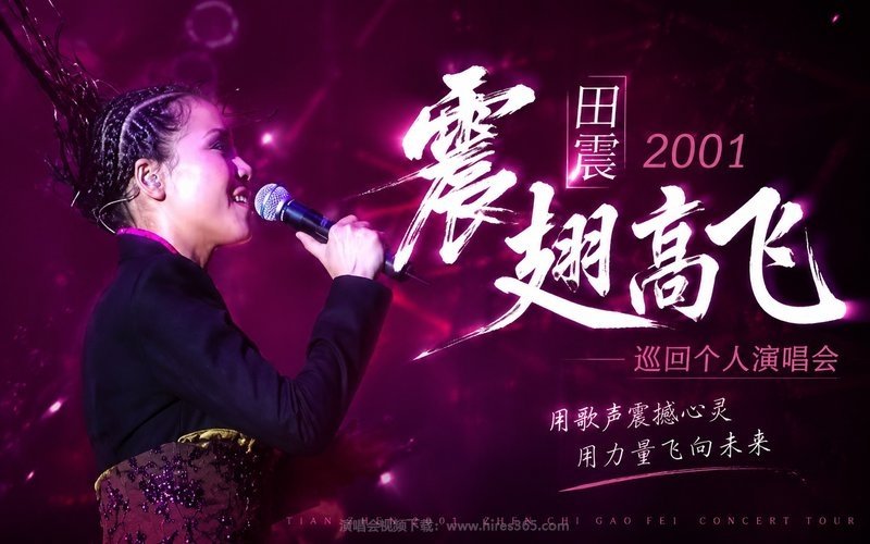 田震 – 2001 震翅高飞巡回个人演唱会 现场封面