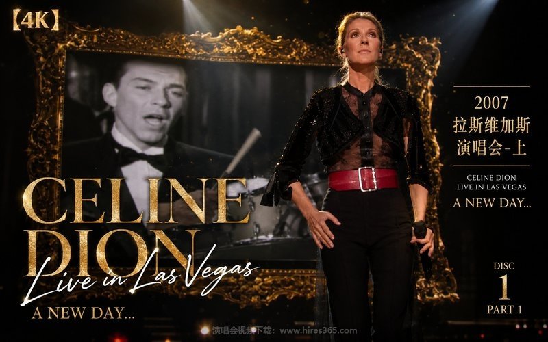 【4K】席琳·迪翁 – 2007 拉斯维加斯演唱会-上 Celine Dion Live in Las Vegas – A New Day 现场封面