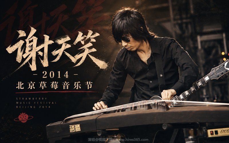 谢天笑 – 2014 北京草莓音乐节 现场封面