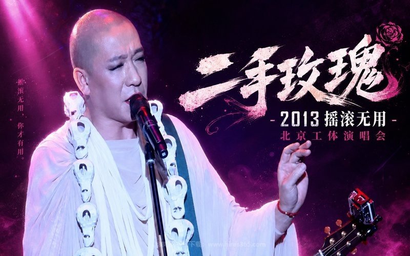 二手玫瑰 – 2013 摇滚无用 北京工体演唱会 现场封面