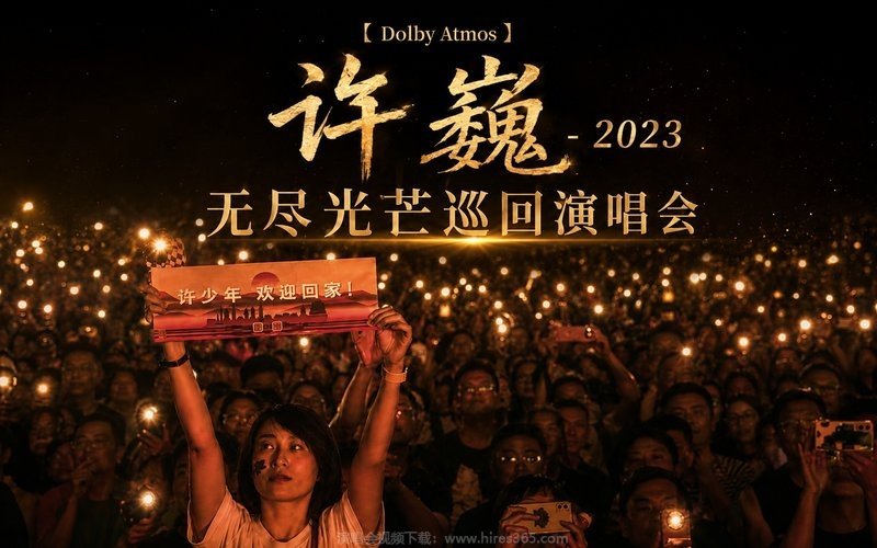 【Dolby Atmos】许巍 – 2023 无尽光芒巡回演唱会 现场封面
