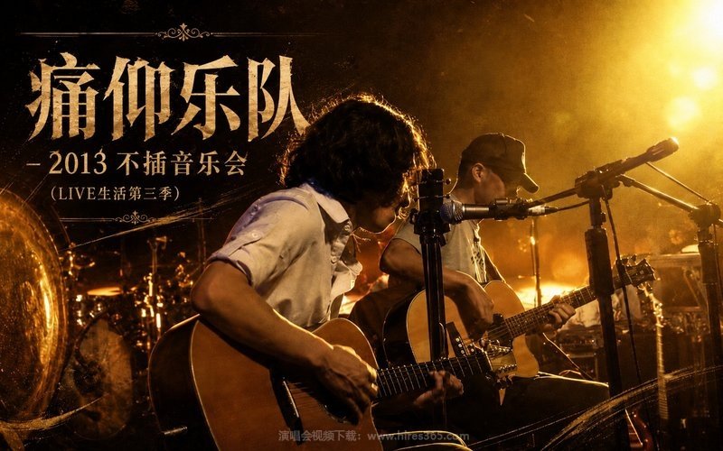 痛仰乐队 – 2013 不插音乐会（LIVE生活第三季） 现场封面