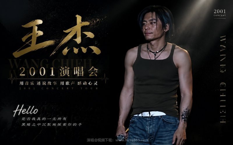 王杰 – 2001 演唱会 现场封面