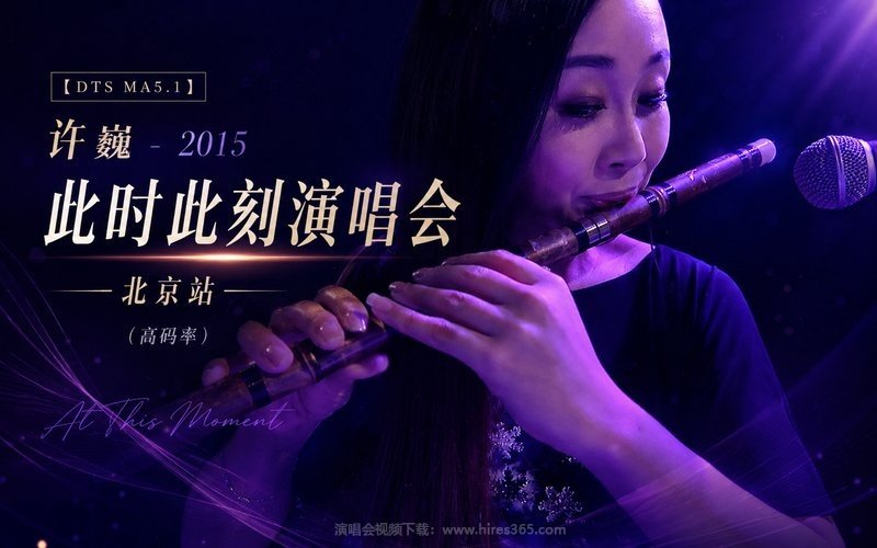 【DTS MA5.1】许巍 – 2015 此时此刻演唱会 北京站（高码率） 现场封面