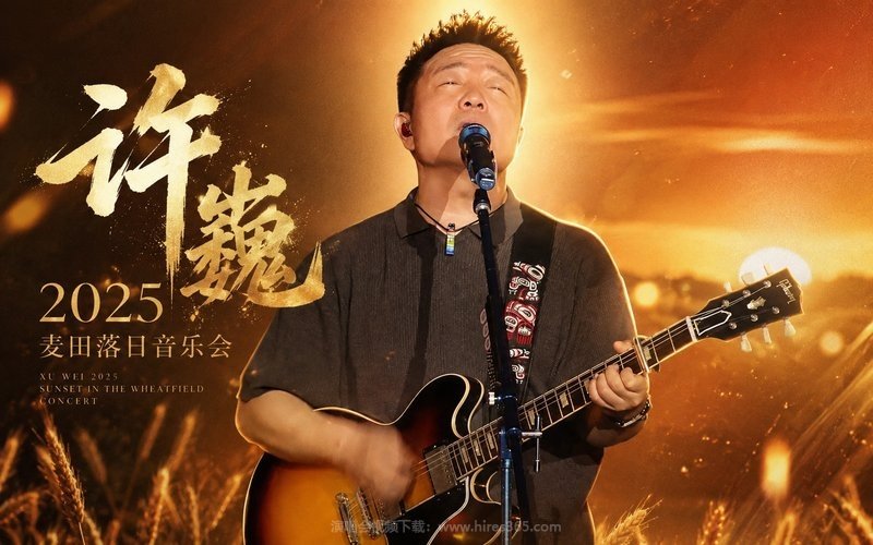 许巍 – 2025 麦田落日音乐会 现场封面