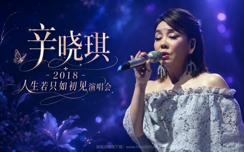 辛晓琪 – 2018 人生若只如初见演唱会 现场封面