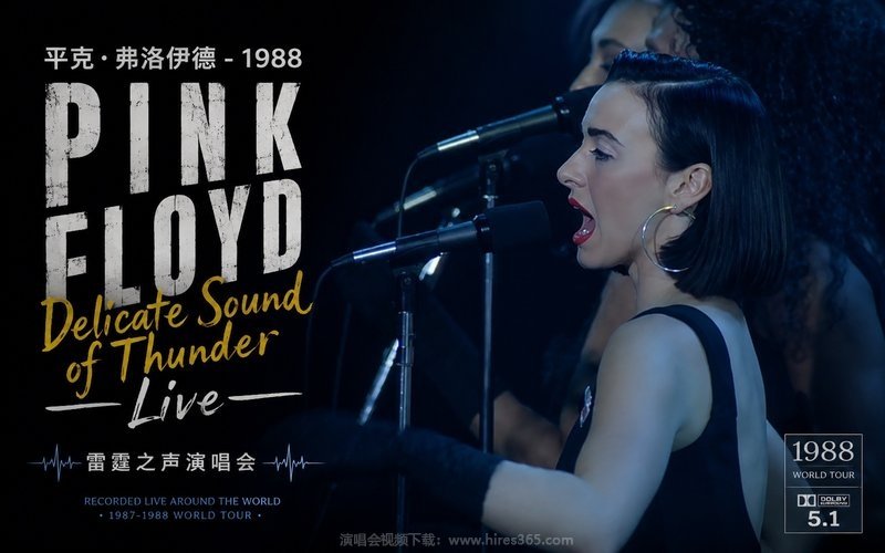 平克·弗洛伊德 – 1988 雷霆之声演唱会 Pink Floyd Delicate Sound of Thunder Live 现场封面