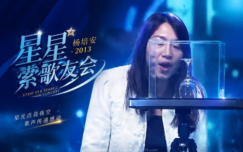 杨培安 – 2013 星星索歌友会 现场封面
