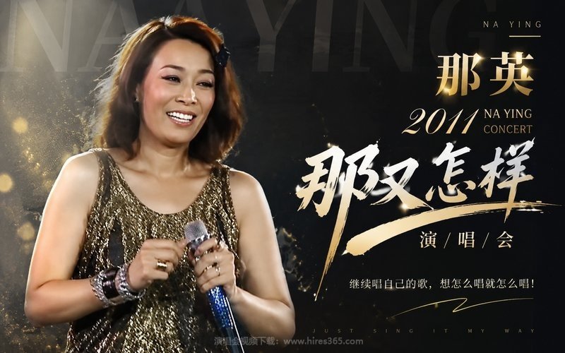 那英 – 2011 那又怎样演唱会 现场封面