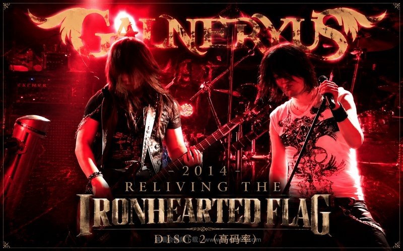 GALNERYUS – 2014 RELIVING THE IRONHEARTED FLAG DISC 2（高码率） 现场封面