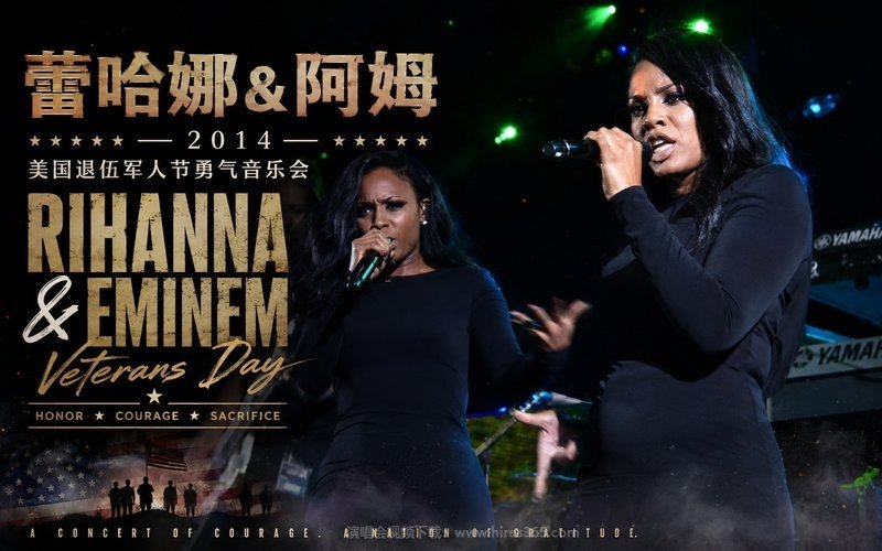 蕾哈娜&阿姆 – 2014 美国退伍军人节勇气音乐会 Rihanna & Eminem – Veterans Day 现场封面