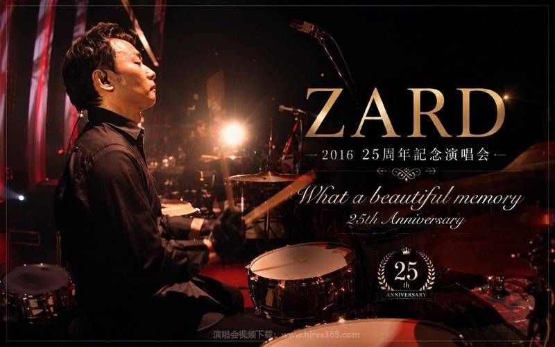ZARD – 2016 25周年纪念演唱会 ZARD What a beautiful memory 25th Anniversary 现场封面