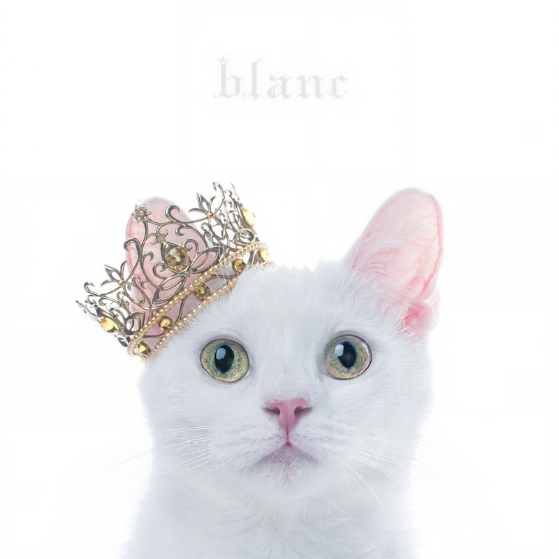 Aimer-《BEST SELECTION _blanc_》