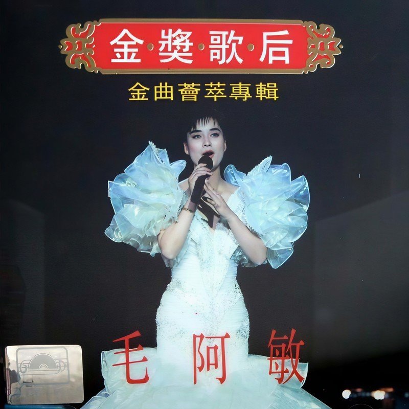 毛阿敏-《金奖歌后》