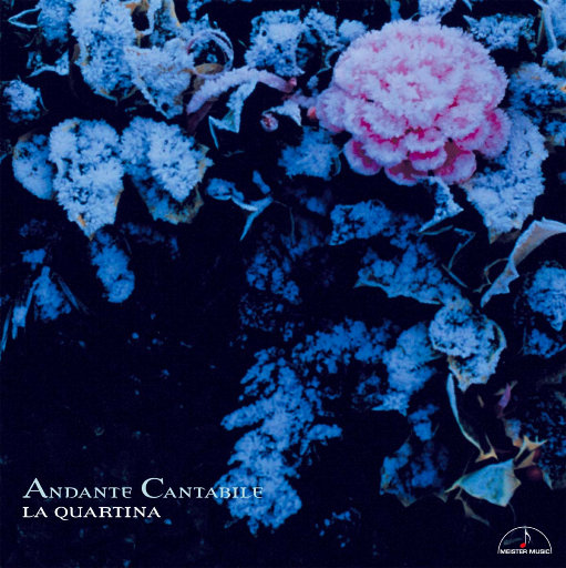 如歌的行板 – 四把大提琴重奏作品 (Andante Cantabile) (5.6MHz DSD)(2)