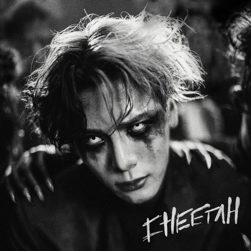 王嘉尔-《Cheetah》