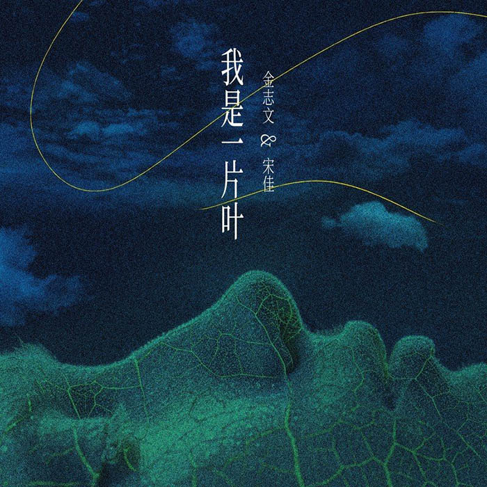 宋佳-《我是一片叶》