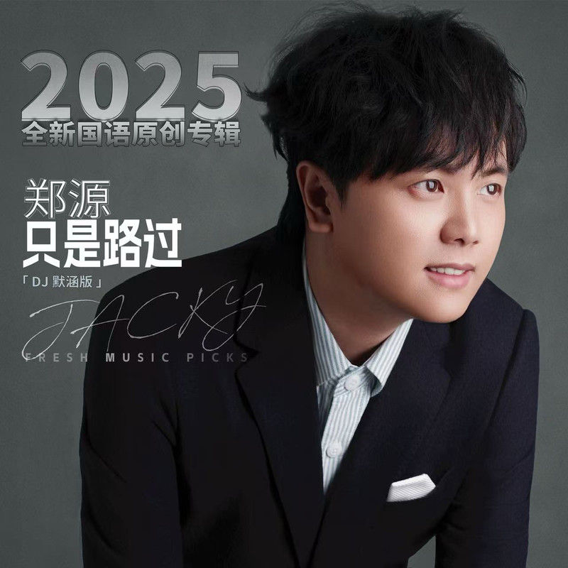郑源-《只是路过 (DJ默涵版)》