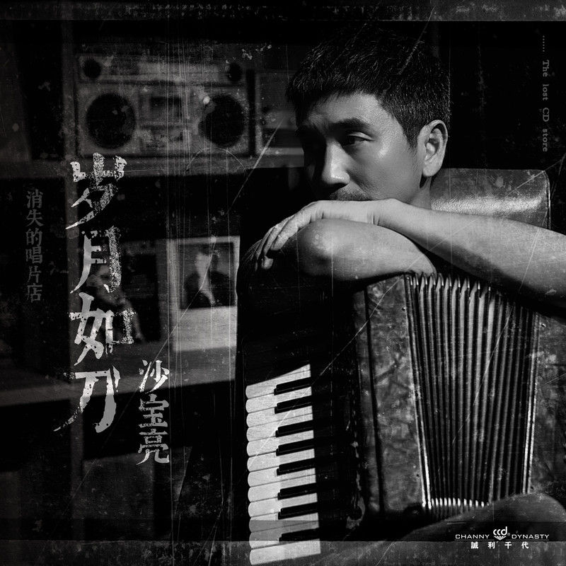 沙宝亮-《《消失的唱片店》之岁月如刀》