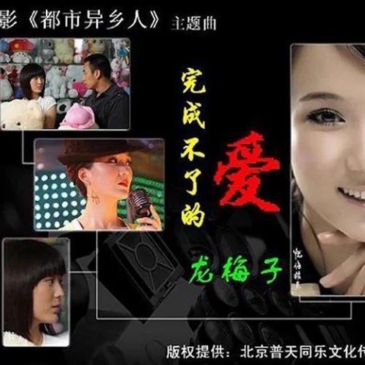 龙梅子 ·《完成不了的爱》