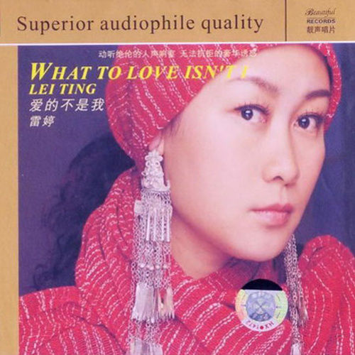 雷婷-《爱的不是我》