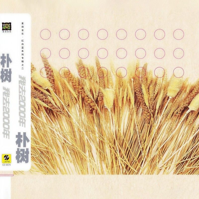 朴树-《我去2000年》