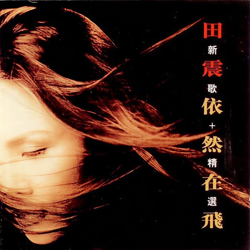 田震-《雨中的鸟依然在飞》