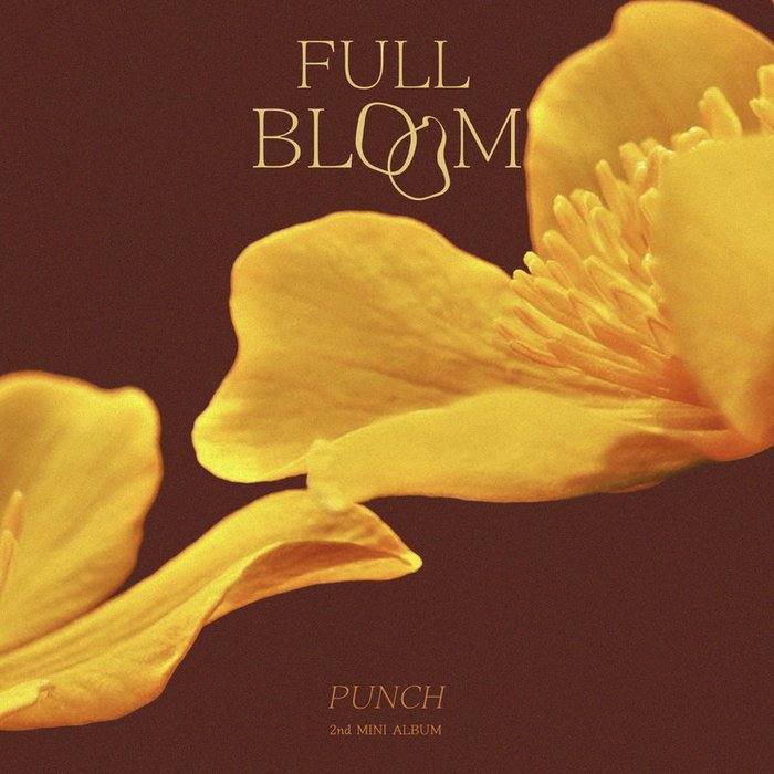 Punch-《Full Bloom (만개)》