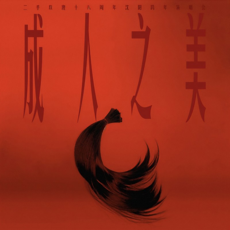二手玫瑰乐队-《成人之美二手玫瑰18周年沈阳跨年演唱会》