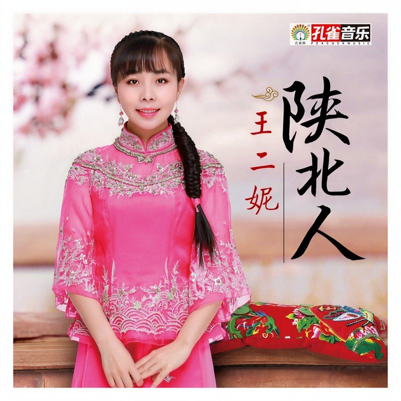 王二妮-《陕北人》