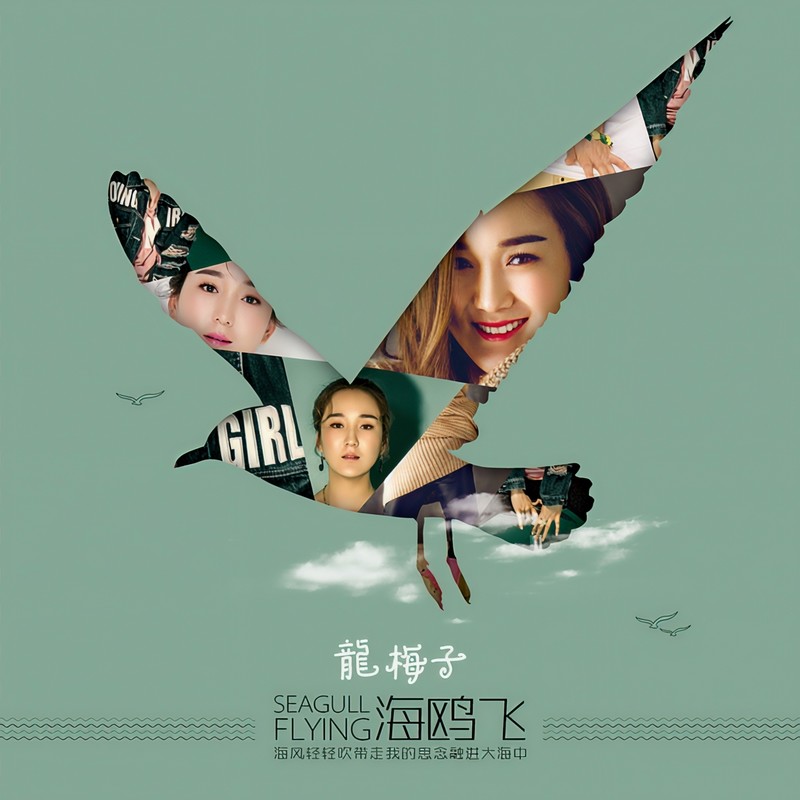 龙梅子-《海鸥飞》
