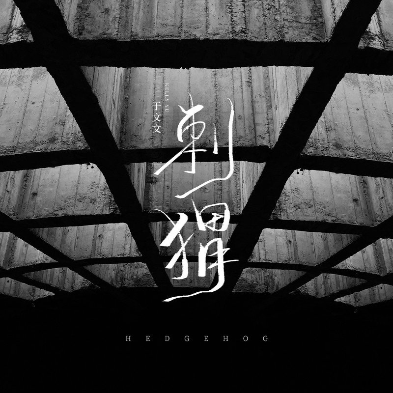 于文文-《刺猬》