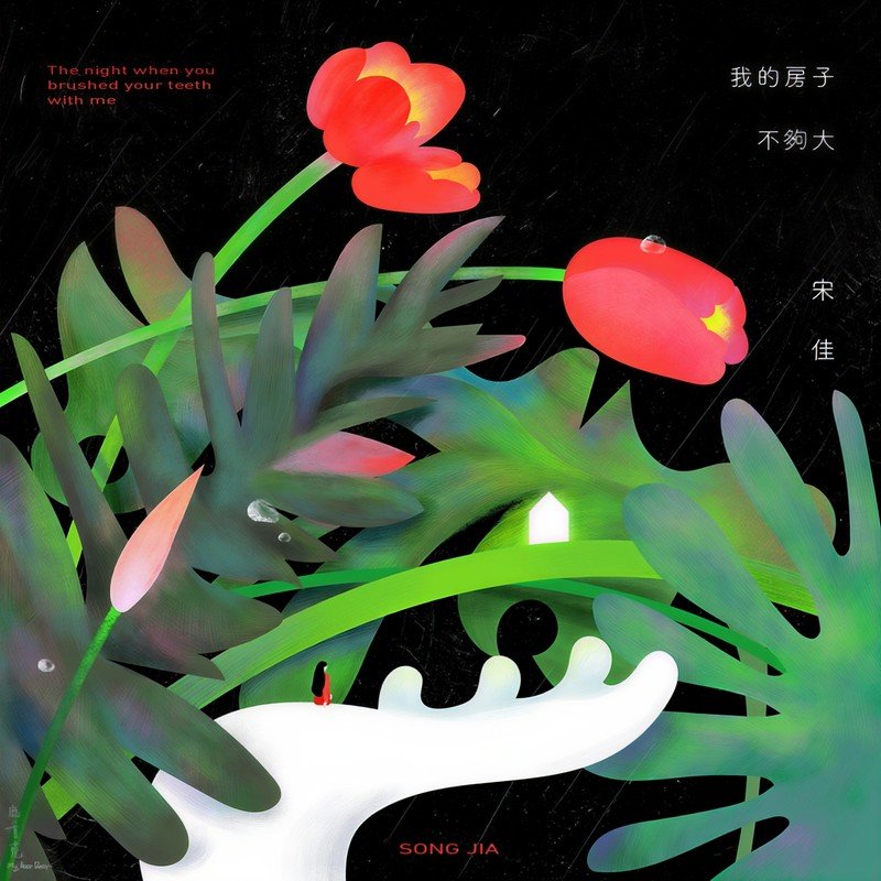 宋佳-《我的房子不够大》
