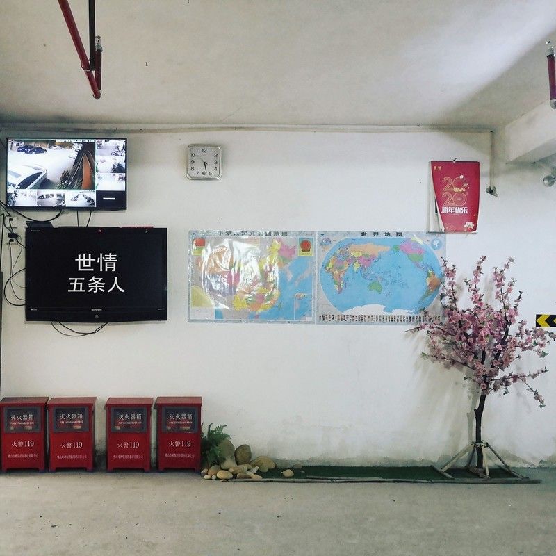 五条人-《世情 (Live in Portugal)》