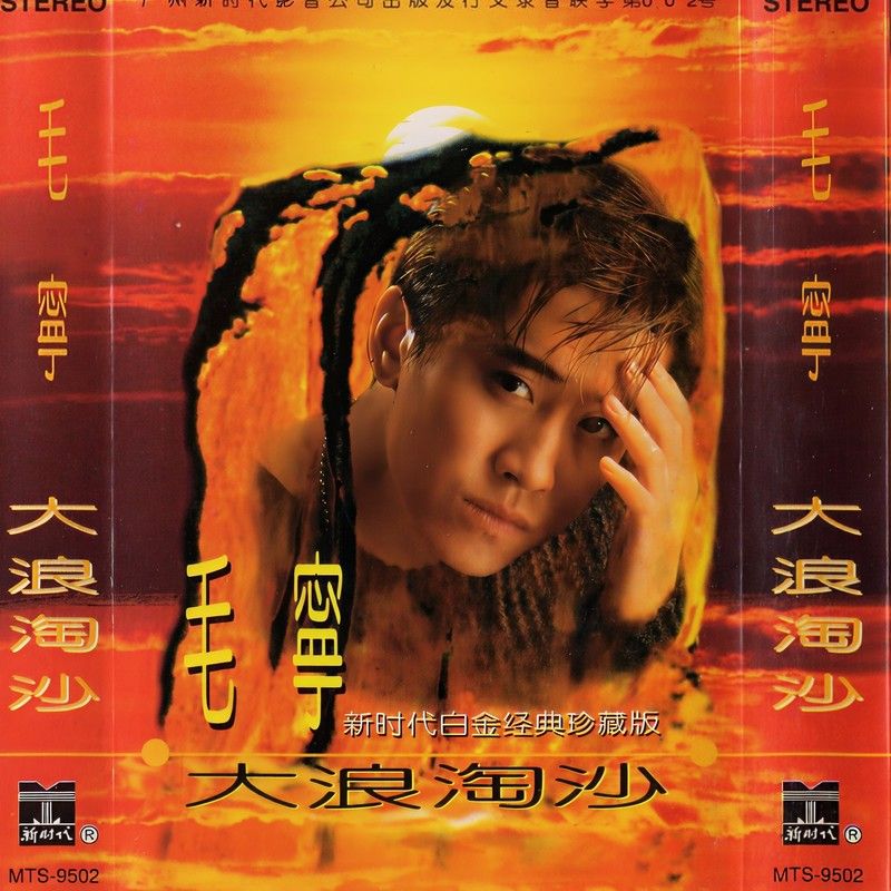 毛宁-《大浪淘沙》