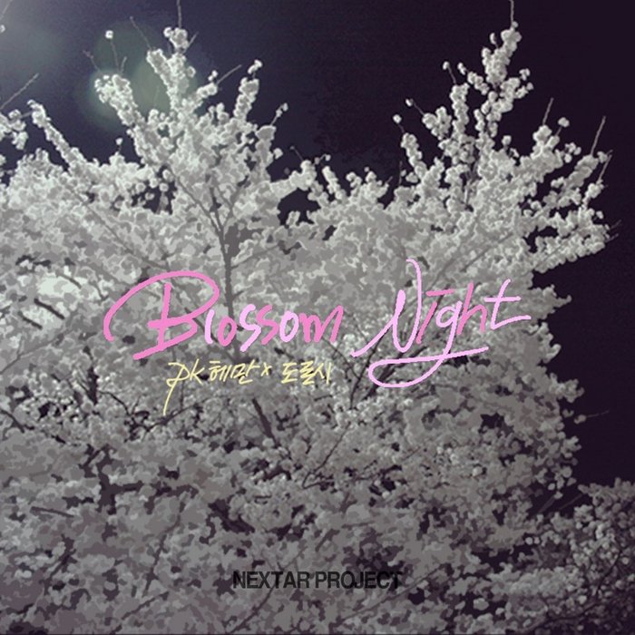Kassy-《벚꽃, 밤》