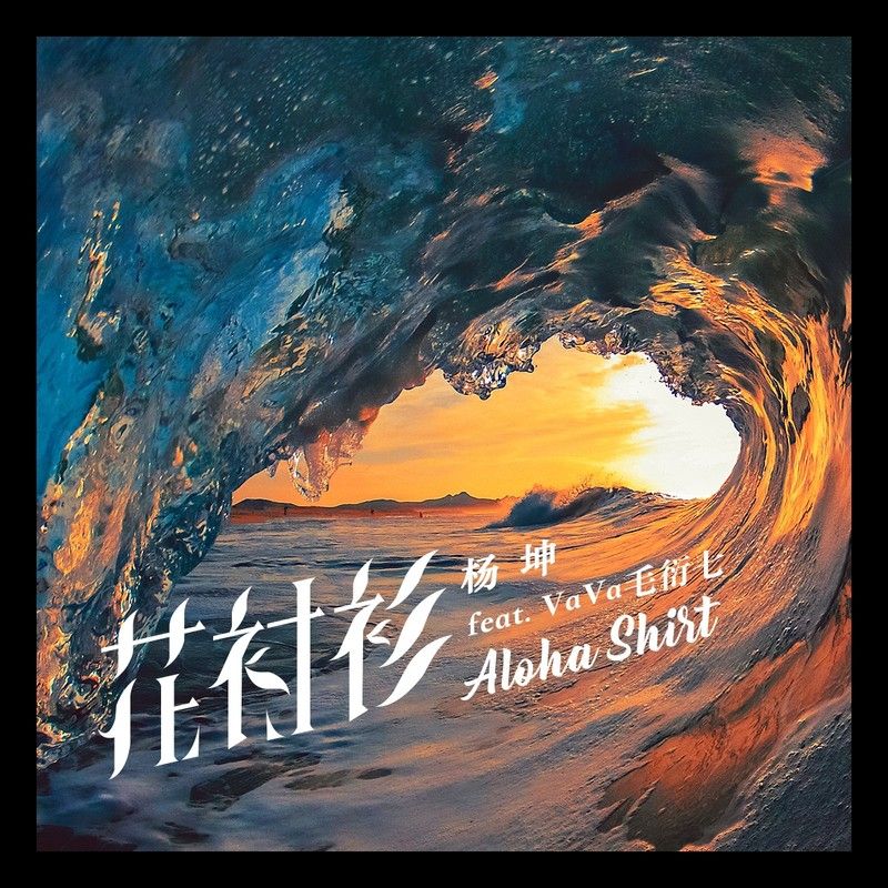 杨坤-《花衬衫》