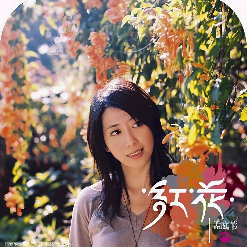 孟庭苇-《红花》
