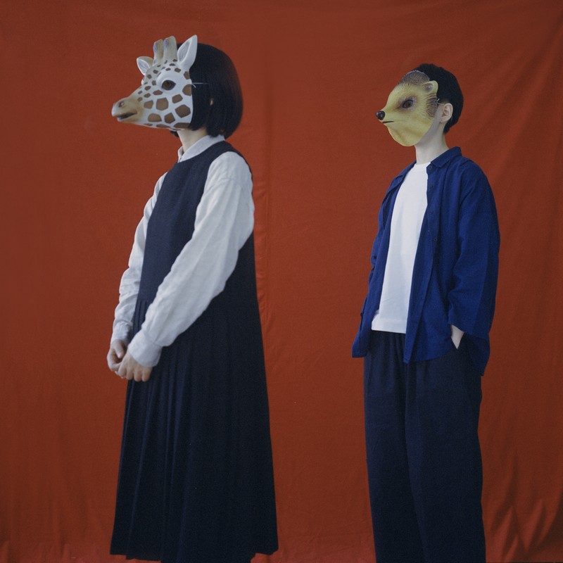 房东的猫-《这是你想要的生活吗》