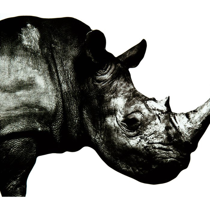 Mr.Children-《Mr.Children 1992-1995》