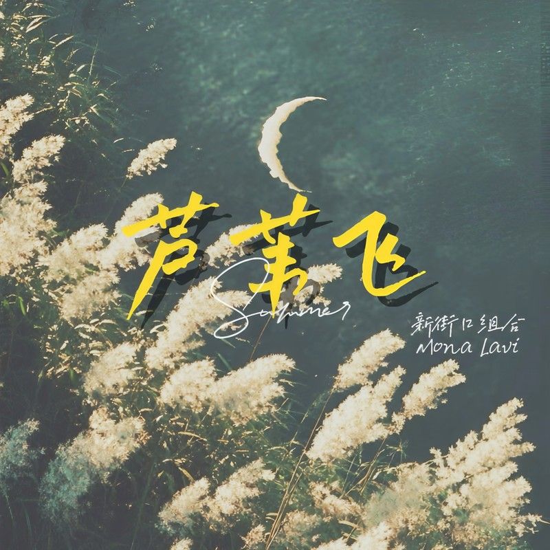 新街口组合-《芦苇飞》