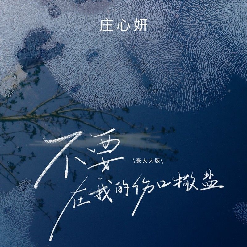 庄心妍-《不要在我的伤口撒盐(豪大大版)》
