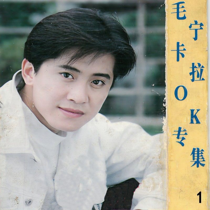 毛宁-《毛宁卡拉OK专集 1》
