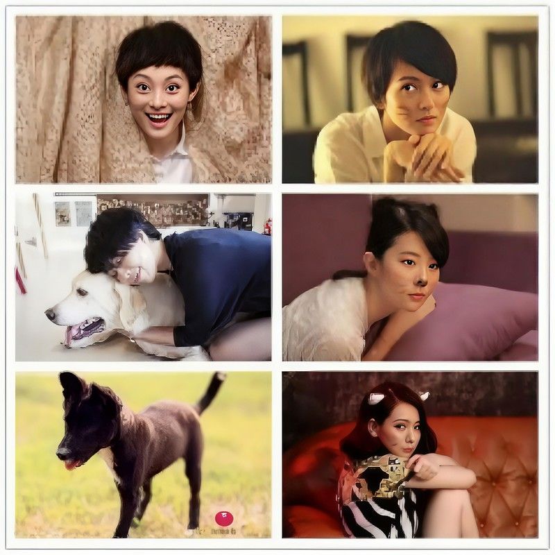 许茹芸-《你怎么舍得伤害我》