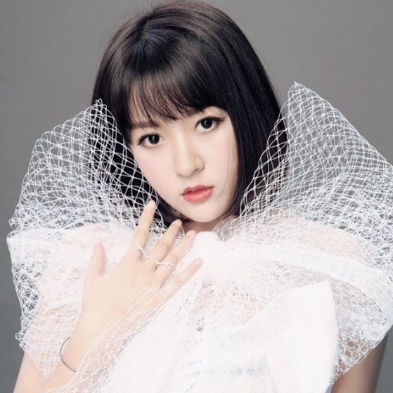 徐良-《羞红的夏天》