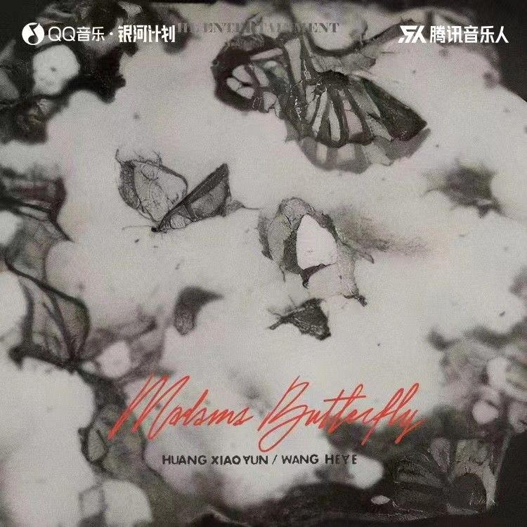 王赫野-《蝴蝶夫人》